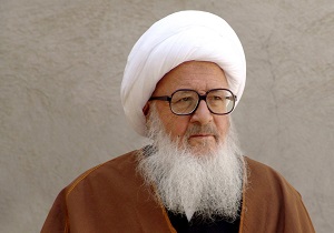 آیت الله وحیدخراسانی باحجت الاسلام بهجت پور دیدار کرد