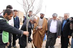 توسعه متوازن و خدمت رسانی با درختکاری در مناطق کم برخوردار