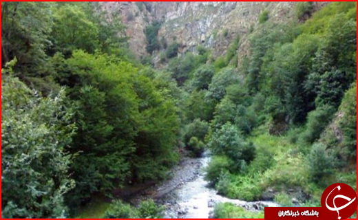 سفر به تاج سرسبز جغرافیای ایران در ایام نوروز