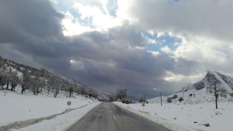 تصاویر زمستانی از منطقه جنگلی بازفت