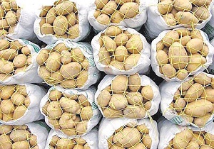 &nbsp;صادرات 6 میلیون دلار سیب زمینی از همدان