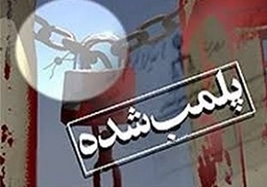 پلمب ۶ مرکز عرضه مرغ زنده در تکاب