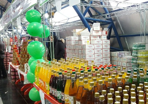 گشایش نمایشگاه مشترک ایران و جمهوری نخجوان در ارومیه