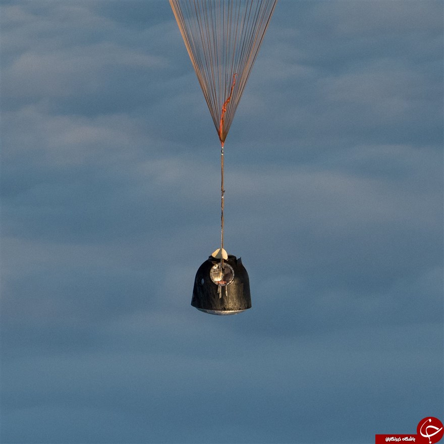 تصاویر هفته: