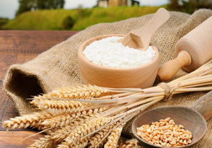 دریافت مجوز استفاده از آنزیم در آرد