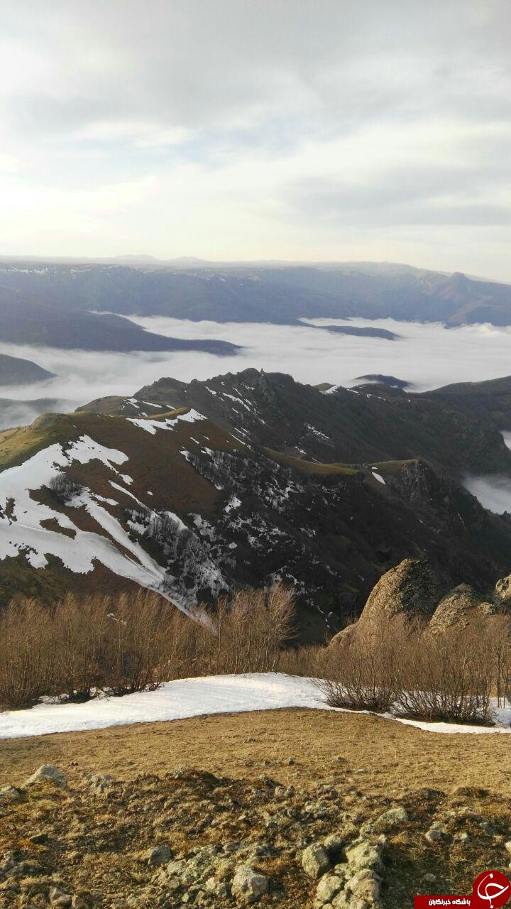 نمایی از طبیعت زیبا و بکر جنگل فندقلو در نمین + تصاویر
