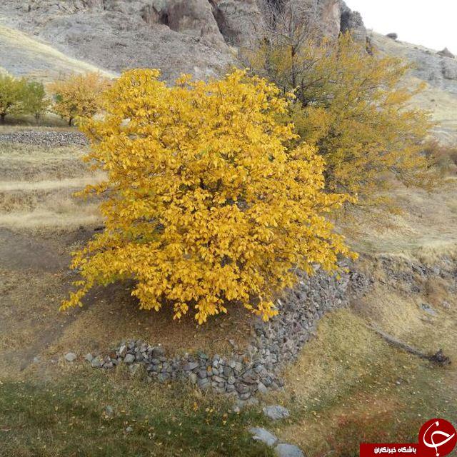 طبیعت زیبا و بهاری مرند در قاب دوربین + تصاویر