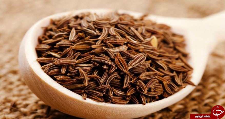 نوروز در کرمان؛ از ازگ بم تا باغ های باور نکردنی در دل کویر +نقشه و تصاویر نوروز در کرمان؛ از ازگ بم تا باغ های باور نکردنی در دل کویر +نقشه و تصاویر