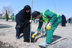 آیین کاشت درخت صلح و دوستی با حضور هیات های دیپلماتیک
