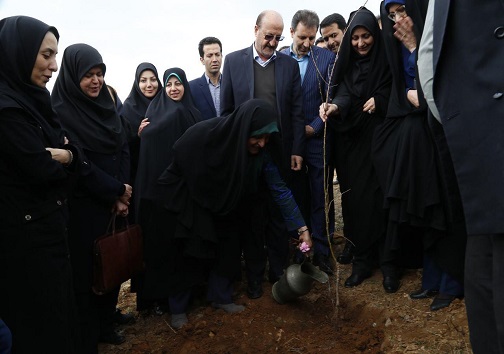معاون رییس جمهور : دولت از بانوان کارآفرین حمایت می کند