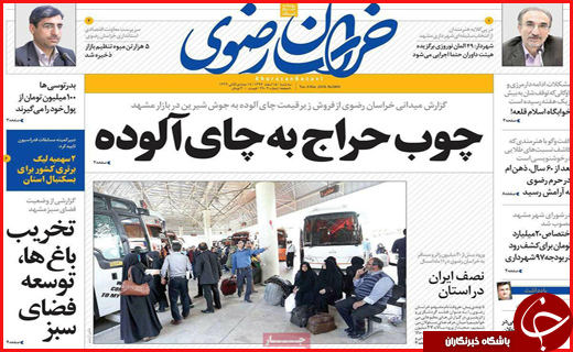 از اصفهان نایب قهرمان کسب و کار مجازی تا بوشهر پایتخت علم و فناوری