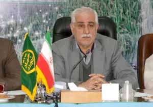 تجهیز ۵ هزار هکتار از زمین‌های شالیزاری مازندران به سامانه نوین آبیاری