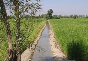 طرح های اشتغالزای کشاورزی در کارون تصویب شد
