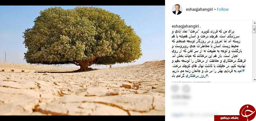 درخت نماد آبادی و سرزندگی است/ فرهنگ درختکاری را توسعه دهیم