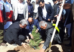 غرس چهار هزار اصله نهال در پردیس علوم پزشکی زاهدان