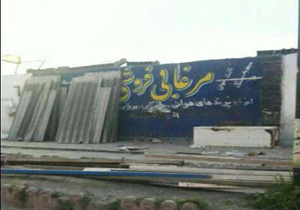 بازار غیرقانونی پرندگان فریدونکنار تعطیل شد