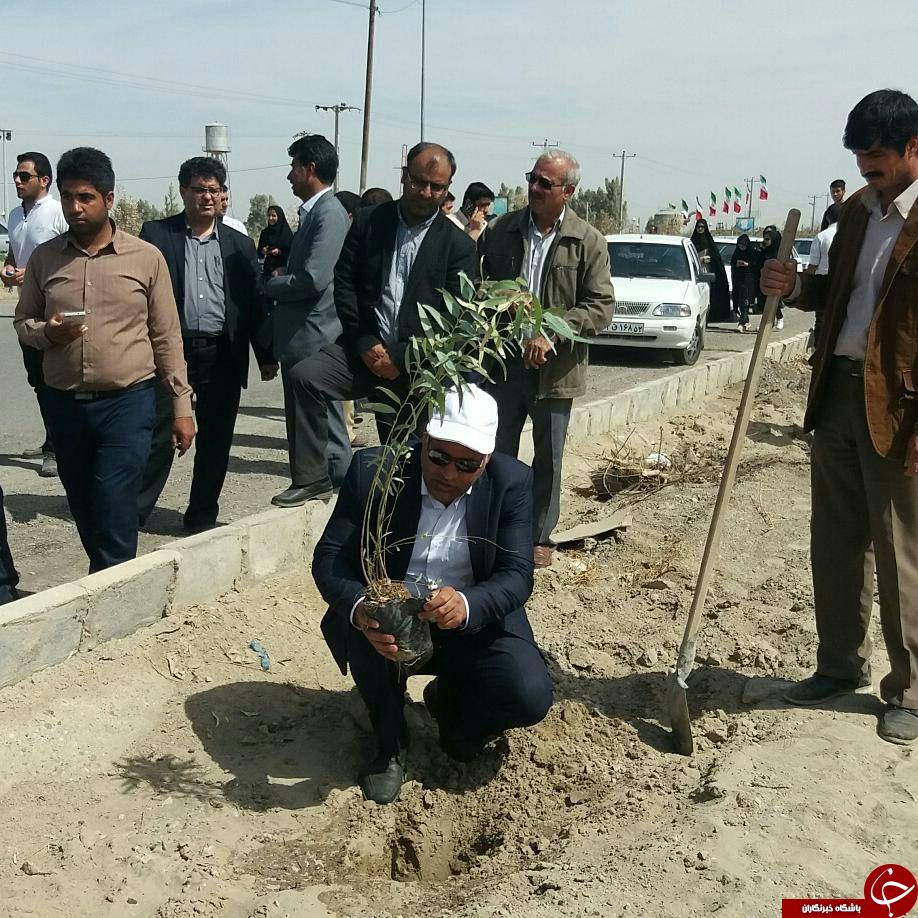 کاشت 500 اصله درخت در زابل + تصاویر