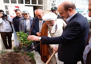 کاشت نهال در خانه شهید جواهری در قزوین