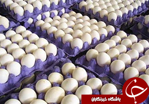 توزیع بیش از ۶۰ تن تخم مرغ برای تنظیم بازار در سطح لرستان