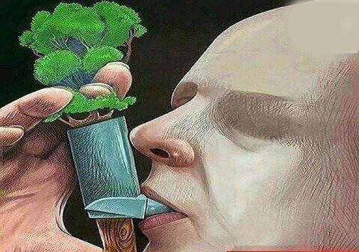 نفس&zwnj;های ما به نفس&zwnj;های زمین بند است درختکاری تنفسی تازه برای جنگل