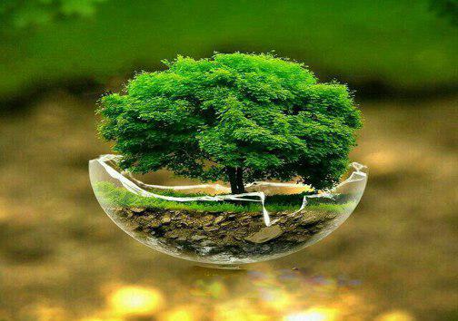 نفس&zwnj;های ما به نفس&zwnj;های زمین بند است درختکاری تنفسی تازه برای جنگل