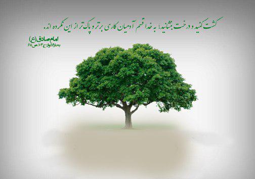 نفس&zwnj;های ما به نفس&zwnj;های زمین بند است درختکاری تنفسی تازه برای جنگل
