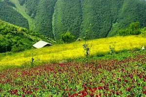 سرزمین عجایب هفتگانه در اشکورات گیلان
