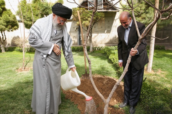 رهبر انقلاب امسال چه درختانی کاشتند؟