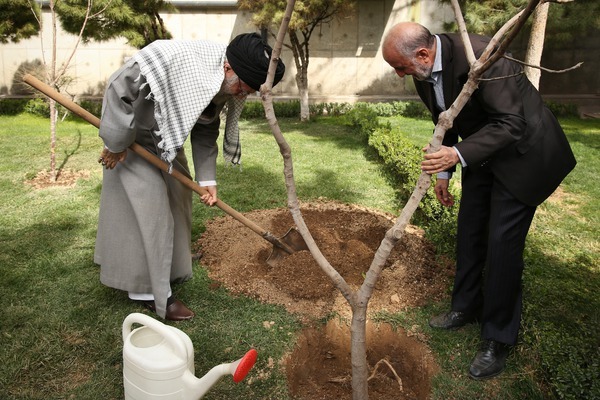 رهبر انقلاب امسال چه درختانی کاشتند؟
