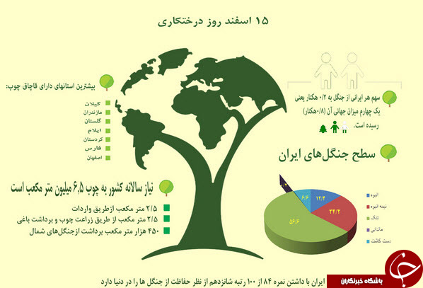 وضعیت درختان ایران +اینفوگرافیک