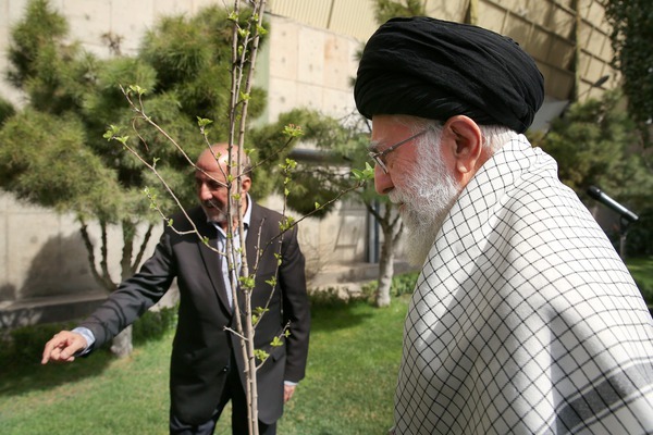 رهبر انقلاب امسال چه درختانی کاشتند؟ + تصاویر