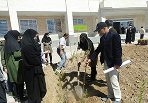 کاشت بیش از ۳۰ هزار اصله نهال در فسا