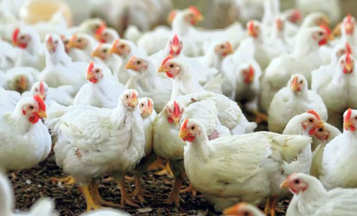 بازخوانی جعبه سیاه هواپیمای ATR در فرانسه / گرانی آجیل منتفی شد