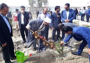 کاشت ۱۲۰ اصله نهال در شهرستان هیرمند