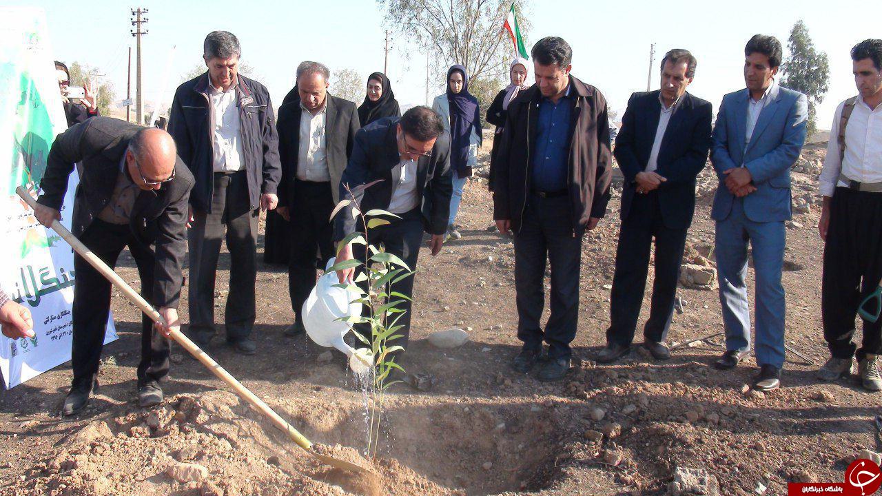 در اولین روز هفته منابع طبیعی 6هزار درخت کاشته شد