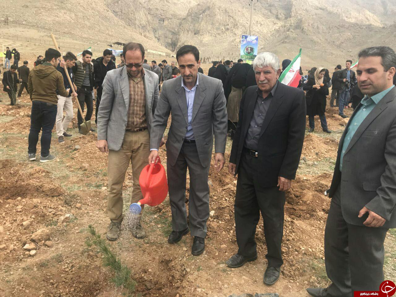 در اولین روز هفته منابع طبیعی 6هزار درخت کاشته شد+تصاویر