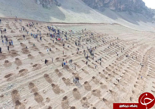 برگزاری مراسم  روز درختکاری در خرم&zwnj;آباد