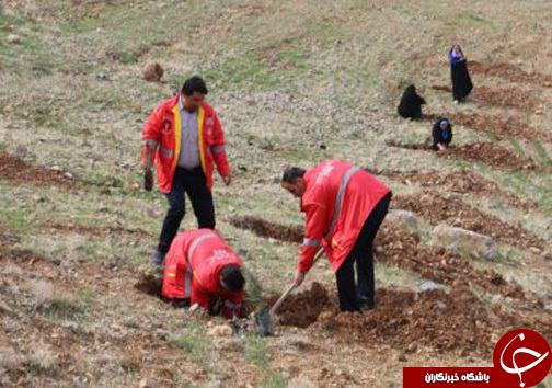 برگزاری مراسم  روز درختکاری در خرم&zwnj;آباد