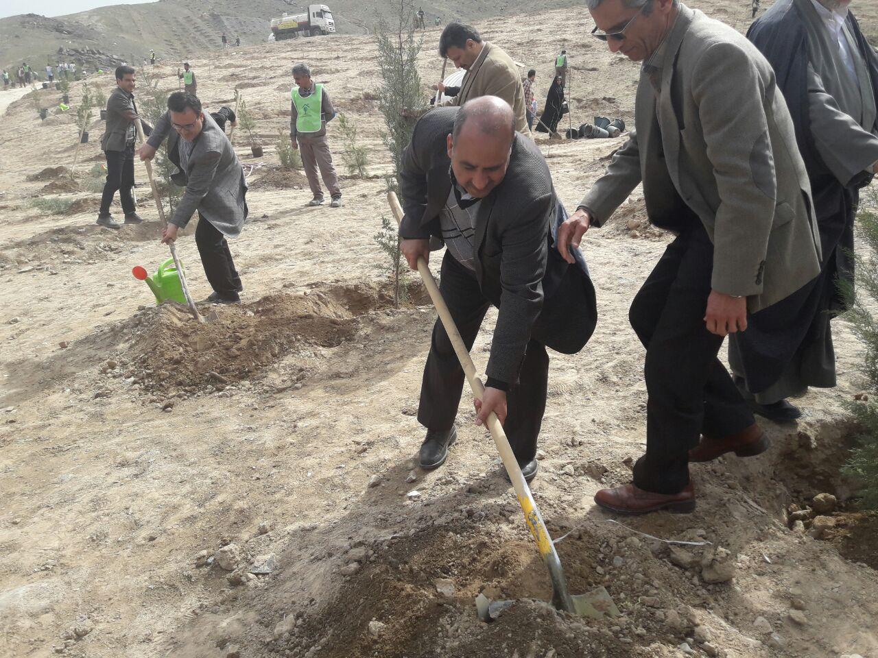 برگزاری جشن درختکاری ذر ارتفاعات جنوبی مشهد