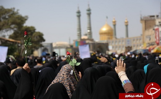 قم،شادمان طلوع گل محمدی