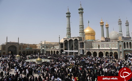 قم،شادمان طلوع گل محمدی