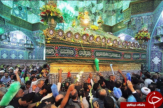 قم،شادمان طلوع گل محمدی
