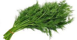 هر آنچه باید درباره خواص درمانی شوید بدانیم