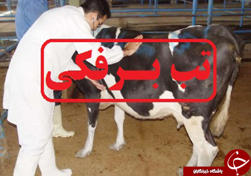 بازدید از شهرک دام سراب کی به منظور بررسی بیماری تب برفکی
