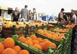 توزیع ۵۶۵ تن میوه شب عید در شهرستان قزوین