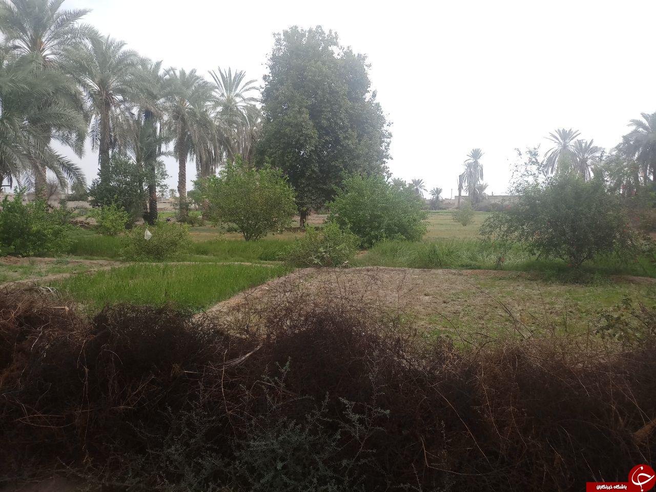 طبیعت زیبای روستای &laquo;عورکی&raquo; در چابهار + تصاویر