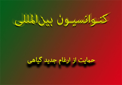 ویدئو سلفی جالب یک غواص از زباله های دریایی