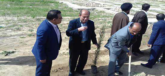 کاشت در خت در دانشگاه پیام نور دهدشت