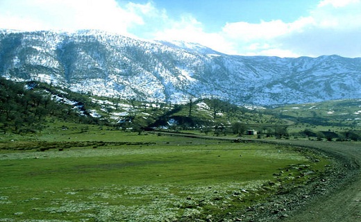 جنگل اولنگ را بهتر بشناسیم + تصاویر