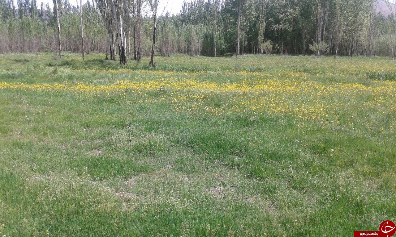 تصاویری از روستای سرسبز &laquo;کران&raquo;